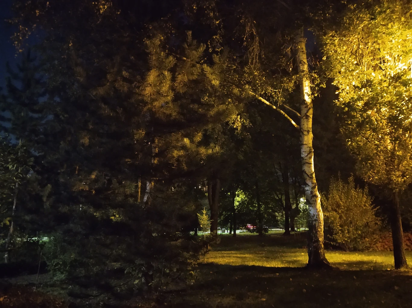 Motorola One Zoom - zdjęcia