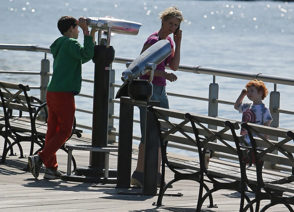 Cynthia Nixon z synami