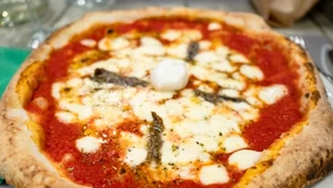 Pizza z anchois