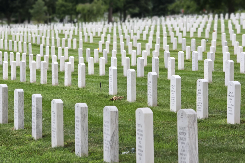 Cmentarz Narodowy w Arlington (USA) Amerykański cmentarz wojskowy zachwyca skromnością nagrobków i prostotą układu przestrzennego. To tu rozegrały się wzruszające finałowe sceny "Szeregowca Ryana". Rocznie odwiedza go prawie 3 miliony osób. Cmentarz powiększa się z każdym konfliktem zbrojnym, w który zaangażowane są USA. Cmentarz Narodowy w Arlington (USA) Amerykański cmentarz wojskowy zachwyca skromnością nagrobków i prostotą układu przestrzennego. To tu rozegrały się wzruszające finałowe sceny "Szeregowca Ryana". Rocznie odwiedza go prawie 3 miliony osób. Cmentarz powiększa się z każdym konfliktem zbrojnym, w który zaangażowane są USA.