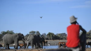 Botswana; zdj. ilustracyjne