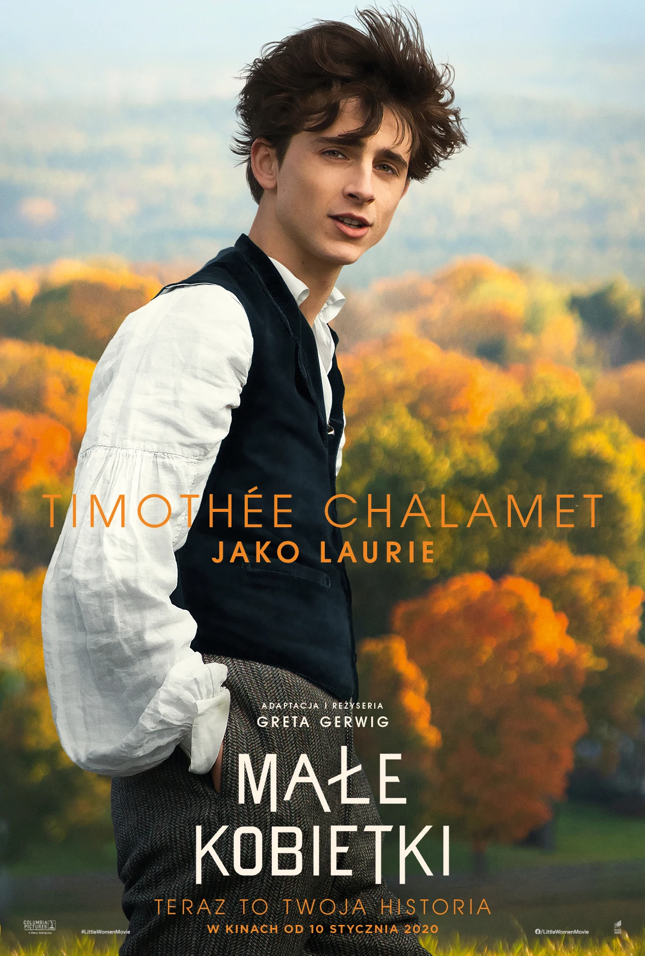 Timothée Chalamet jako Laurie Laurence 