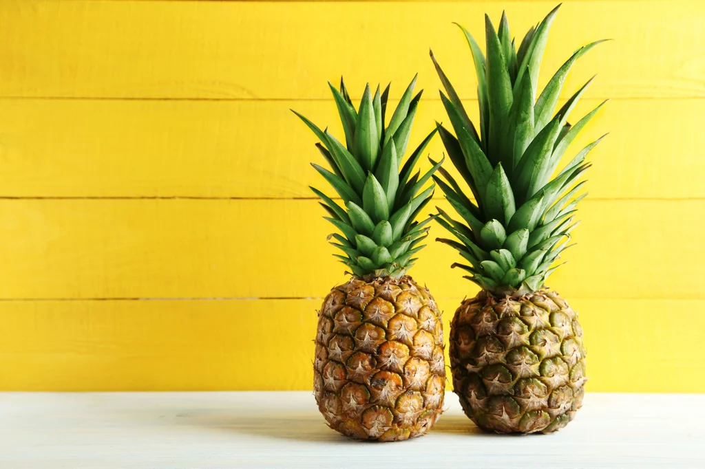 Ananas Zanim go rozkroisz, oceń jego liście - jeżeli stawiają lekki opór podczas wyrywania, to znak, że owoc jest idealny do spożycia. Zbyt łatwe ich wyrwanie, plus miękka skórka, informują, że ananas jest już przejrzały. Ananas Zanim go rozkroisz, oceń jego liście - jeżeli stawiają lekki opór podczas wyrywania, to znak, że owoc jest idealny do spożycia. Zbyt łatwe ich wyrwanie, plus miękka skórka, informują, że ananas jest już przejrzały.