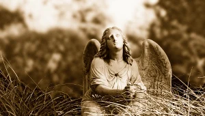 Zdjęcie ilustracyjne