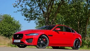 Jaguar XE P250 R-Dynamic