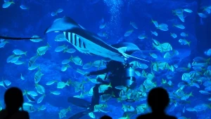 ​Wyjątkowa atrakcja pod poziomem morza w Trójmieście. W weekend majowy będą tam tłumy