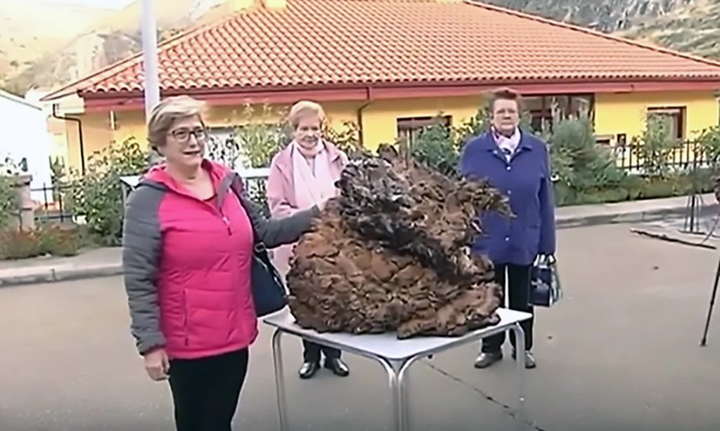 Znalezisko z miejsca stało się atrakcją turystyczną!