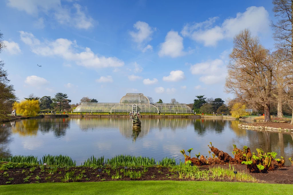 Dzięki pracy naukowców Kew Gardens co roku identyfikuje się około 200 nowych roślin, bada wpływ zmian klimatu na zagrożone gatunki, których próbki przechowywane są w herbarium 