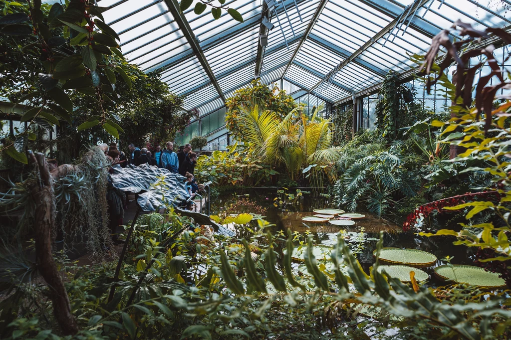 Szklarnie Kew Gardens robią ogromne wrażenie