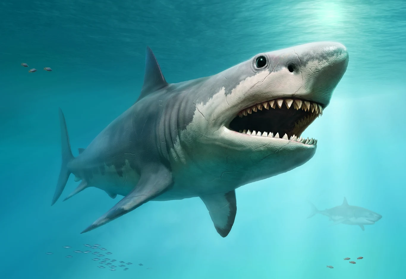 Megalodon - grafika 3D przedstawiająca drapieżnika Megalodon - grafika 3D przedstawiająca drapieżnika