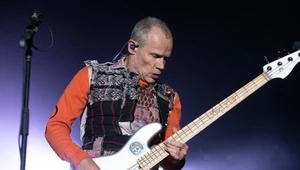 Flea (Red Hot Chili Peppers) w akcji