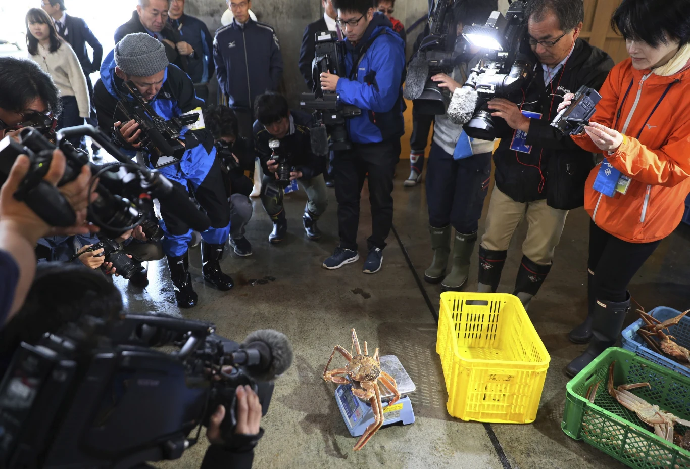 Rekordowy krab ważył 1,2 kilograma, a jego pancerz miał 14,6 centymetrów szerokości.