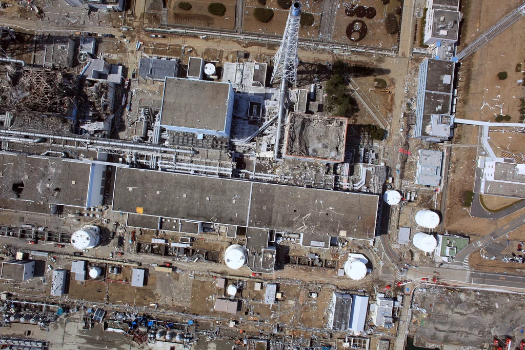 Skutki katastrofy w Fukushimie są nadal odczuwalne, przede wszystkim dla środowiska