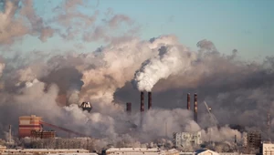 Smog sprzyja rozwojowi raka mózgu?