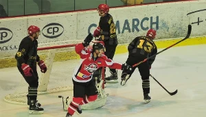 Hokeiści Comarch Cracovii awansowali w tym sezonie fo finału Pucharu Kontynentalnego.