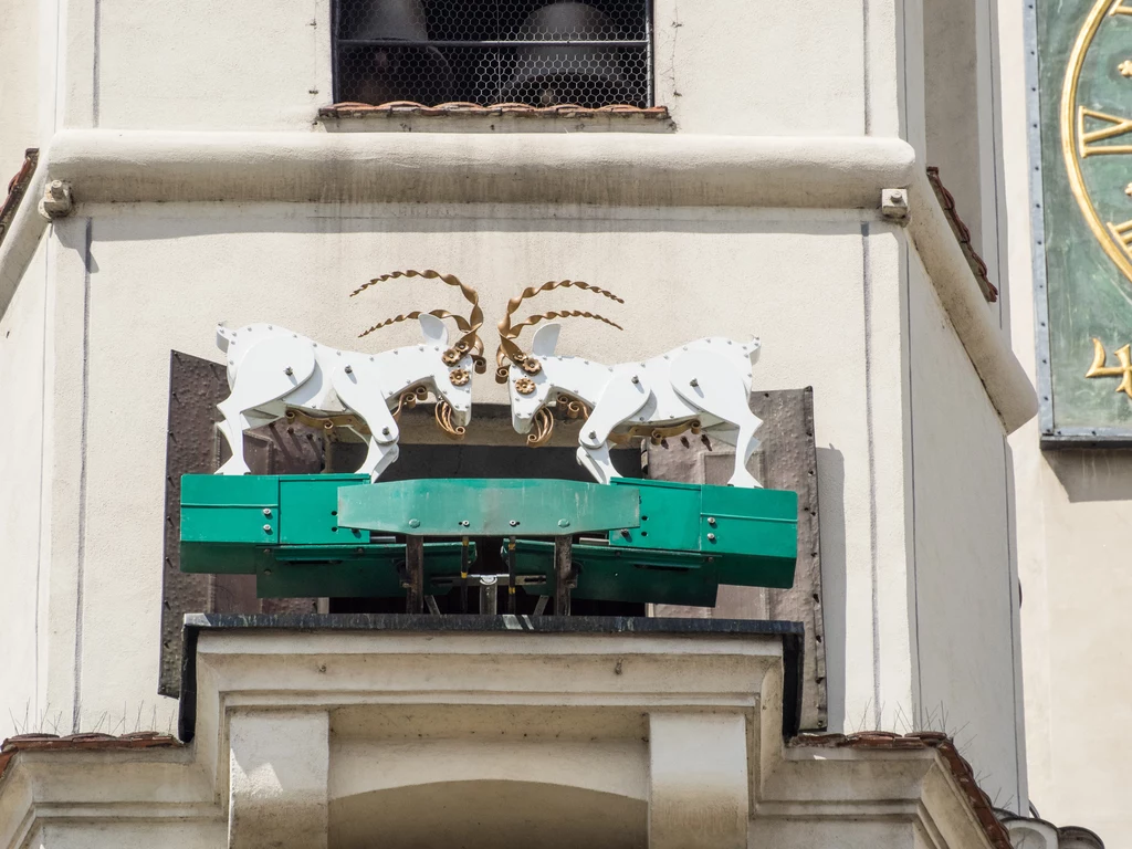 Jednym z symboli Poznania są dwa koziołki, znajdujące się na wieży renesansowego ratusza. Zwierzęta bodą się głowami codziennie, kiedy zegar wybija godzinę 12.00. Jednym z symboli Poznania są dwa koziołki, znajdujące się na wieży renesansowego ratusza. Zwierzęta bodą się głowami codziennie, kiedy zegar wybija godzinę 12.00.