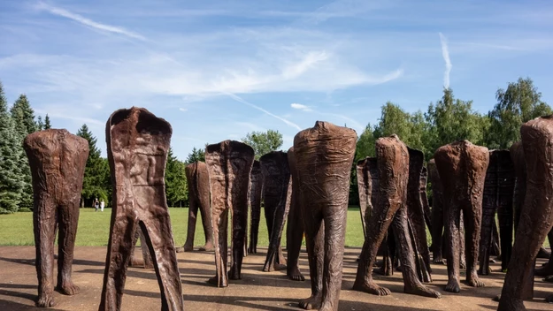 Park Cytadela został uznany jako pomnik historii. Znajdują się tam m.in. muzea, cmentarze oraz miejsca pamięci. To miejsce przyciągnie sympatyków dawnych czasów.

Na zdjęciu przedstawiona jest rzeźba ''Nierozpoznani" autorstwa Magdaleny Abakanowicz, znajdująca się w parku Cytadela.