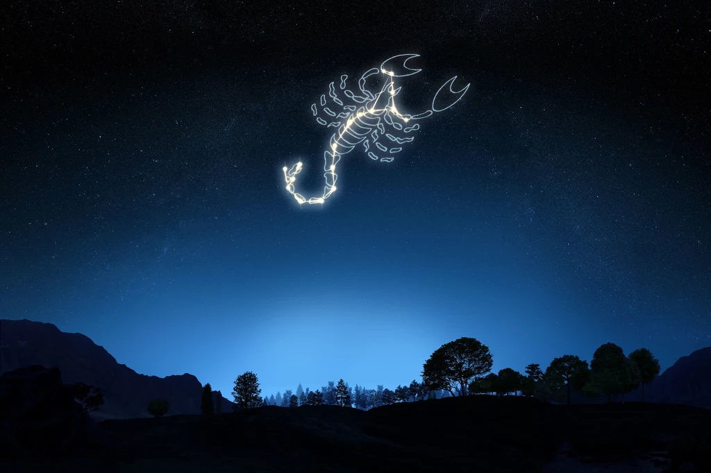 Skorpion akwamaryn Zodiakalne Skorpiony najczęściej są dość nieprzewidywalne. To osoby lojalne wobec przyjaciół, ale nie zawsze wiedzące do końca, w jaki sposób mają do nich dotrzeć. Wybierając dla siebie magiczny talizman, niech postawią więc na akwamaryn. Akwamaryn wspomoże osoby spod tego znaku w zrozumieniu bliskich. Rozwinie też ich zdolności komunikacyjne i pozwoli im zachować jasność umysłu. Skorpion akwamaryn Zodiakalne Skorpiony najczęściej są dość nieprzewidywalne. To osoby lojalne wobec przyjaciół, ale nie zawsze wiedzące do końca, w jaki sposób mają do nich dotrzeć. Wybierając dla siebie magiczny talizman, niech postawią więc na akwamaryn. Akwamaryn wspomoże osoby spod tego znaku w zrozumieniu bliskich. Rozwinie też ich zdolności komunikacyjne i pozwoli im zachować jasność umysłu.