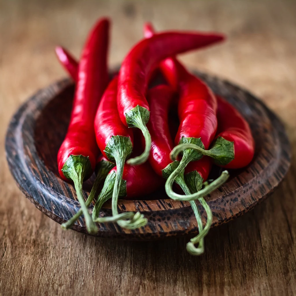 Papryczka chili Zawarta w ostrych strąkach kapsaicyna przyspiesza krążenie krwi, działając rozgrzewająco i przeciwbólowo. A dodatkowo chili oczyszcza drogi oddechowe, łagodząc objawy przeziębienia. Poprawi też trawienie, przyspiesza metabolizm i spalanie tłuszczów. Kapsaicyna ma silnie drażniące działanie - wtedy danie z chili warto popić mlekiem. Papryczka chili Zawarta w ostrych strąkach kapsaicyna przyspiesza krążenie krwi, działając rozgrzewająco i przeciwbólowo. A dodatkowo chili oczyszcza drogi oddechowe, łagodząc objawy przeziębienia. Poprawi też trawienie, przyspiesza metabolizm i spalanie tłuszczów. Kapsaicyna ma silnie drażniące działanie - wtedy danie z chili warto popić mlekiem.