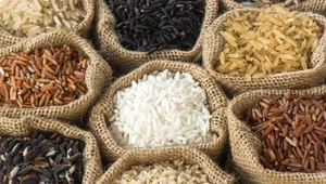 Mniej znane rodzaje ryżu