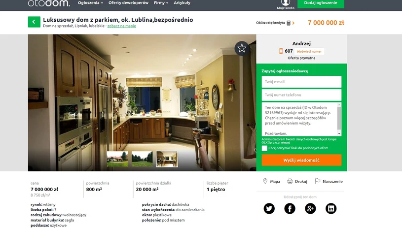 Willa Pietrasów (Screen ze strony: otodom.pl) 