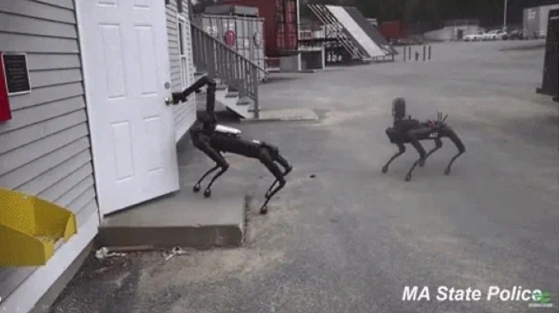 Robot Spot podczas akcji z saperami - zdjęcia operacyjne policji z Massachusetts 