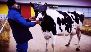 Fragment filmu zamieszczonego w serwisie YouTube.com/na kanale Mirror24 News