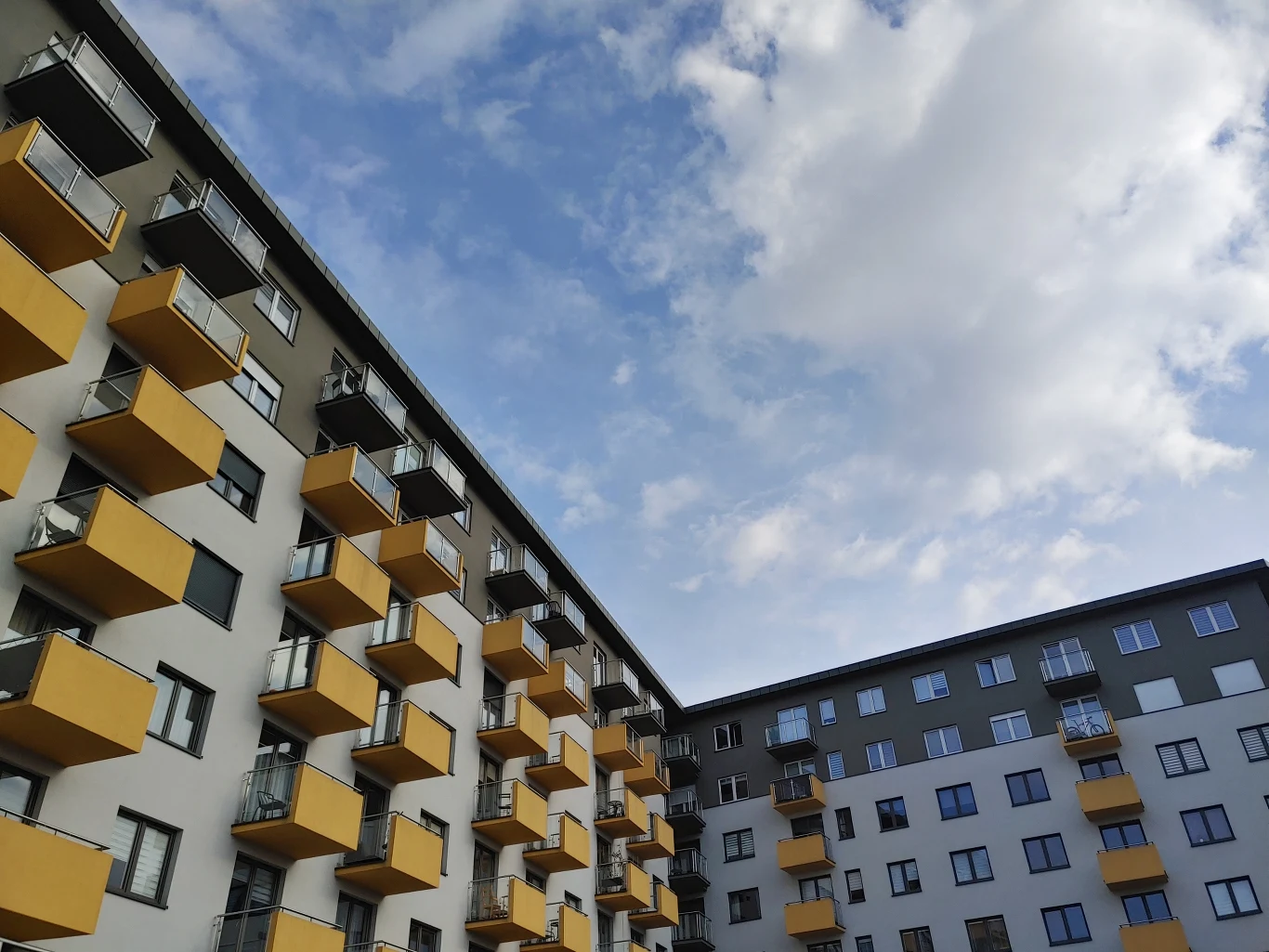 Przykładowe zdjęcie wykonane LG G8X ThinQ