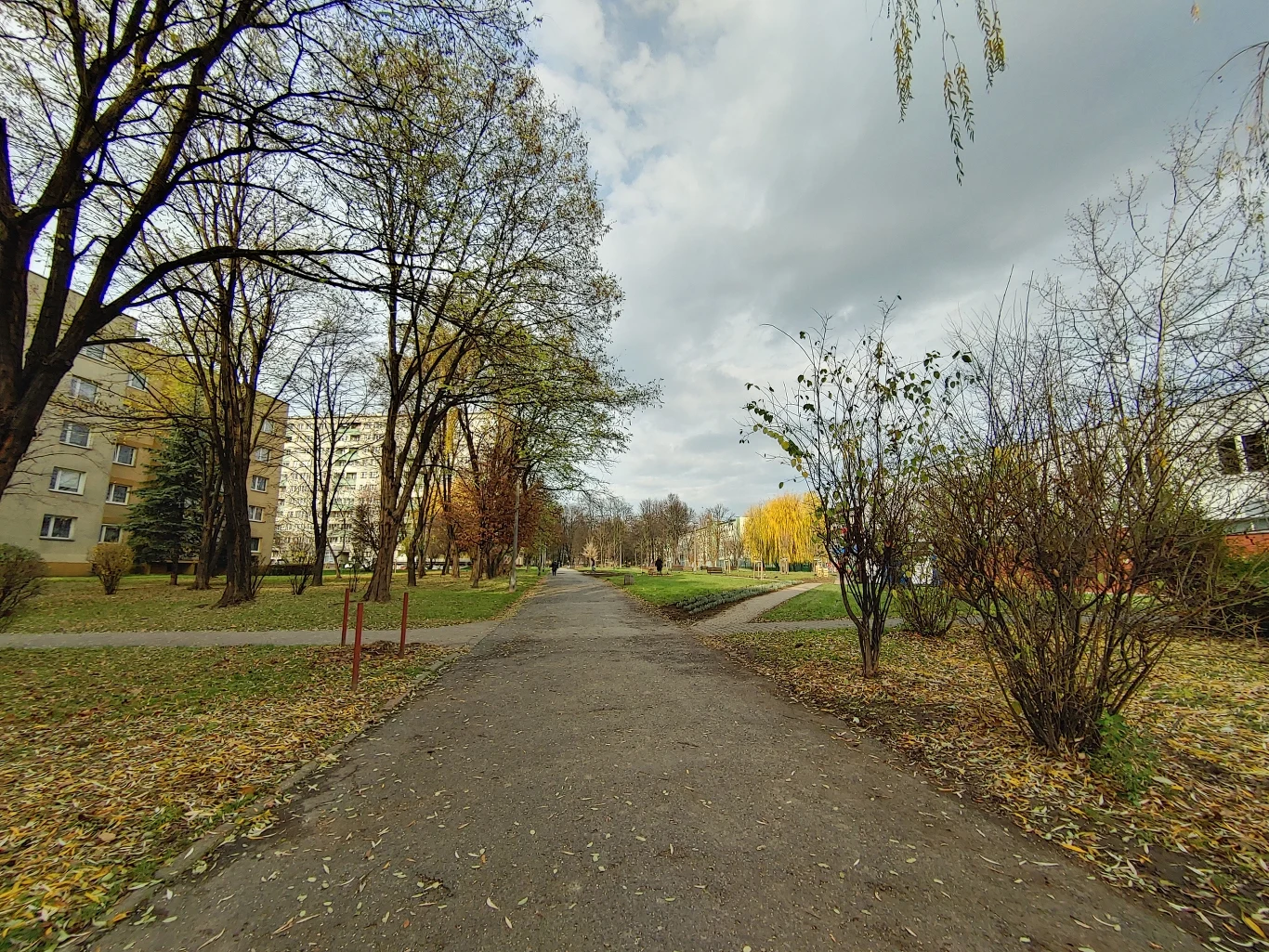 Przykładowe zdjęcie wykonane LG G8X ThinQ