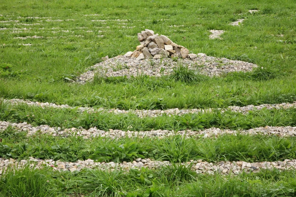 Nasza planeta kryje w sobie wiele tajemnic. Niektórzy wierzą, że można znaleźć na niej specjalne znaki, których odpowiednie odczytanie, prowadzi do odkrycia sekretów