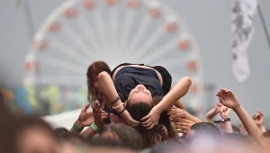 Słowo "alternatywka" oznacza "dziewczynę o alternatywnych upodobaniach i zachowaniach"