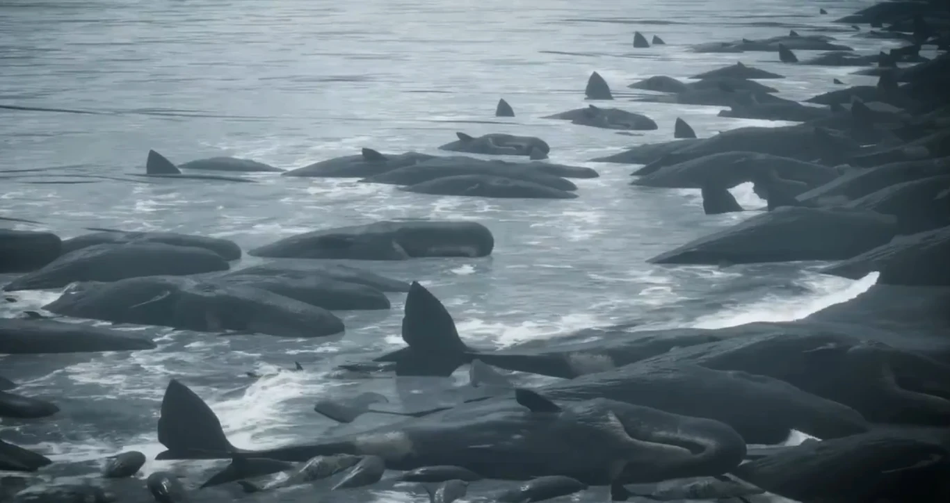 Ostatnią nadzieją na jej przetrwanie jest główny bohater, Sam Porter Bridges - nieustraszony kurier, który poza dostarczaniem ważnych przesyłek między schronami podejmuje się zadania odbudowy tzw. sieci chiralnej. Ostatnią nadzieją na jej przetrwanie jest główny bohater, Sam Porter Bridges - nieustraszony kurier, który poza dostarczaniem ważnych przesyłek między schronami podejmuje się zadania odbudowy tzw. sieci chiralnej.