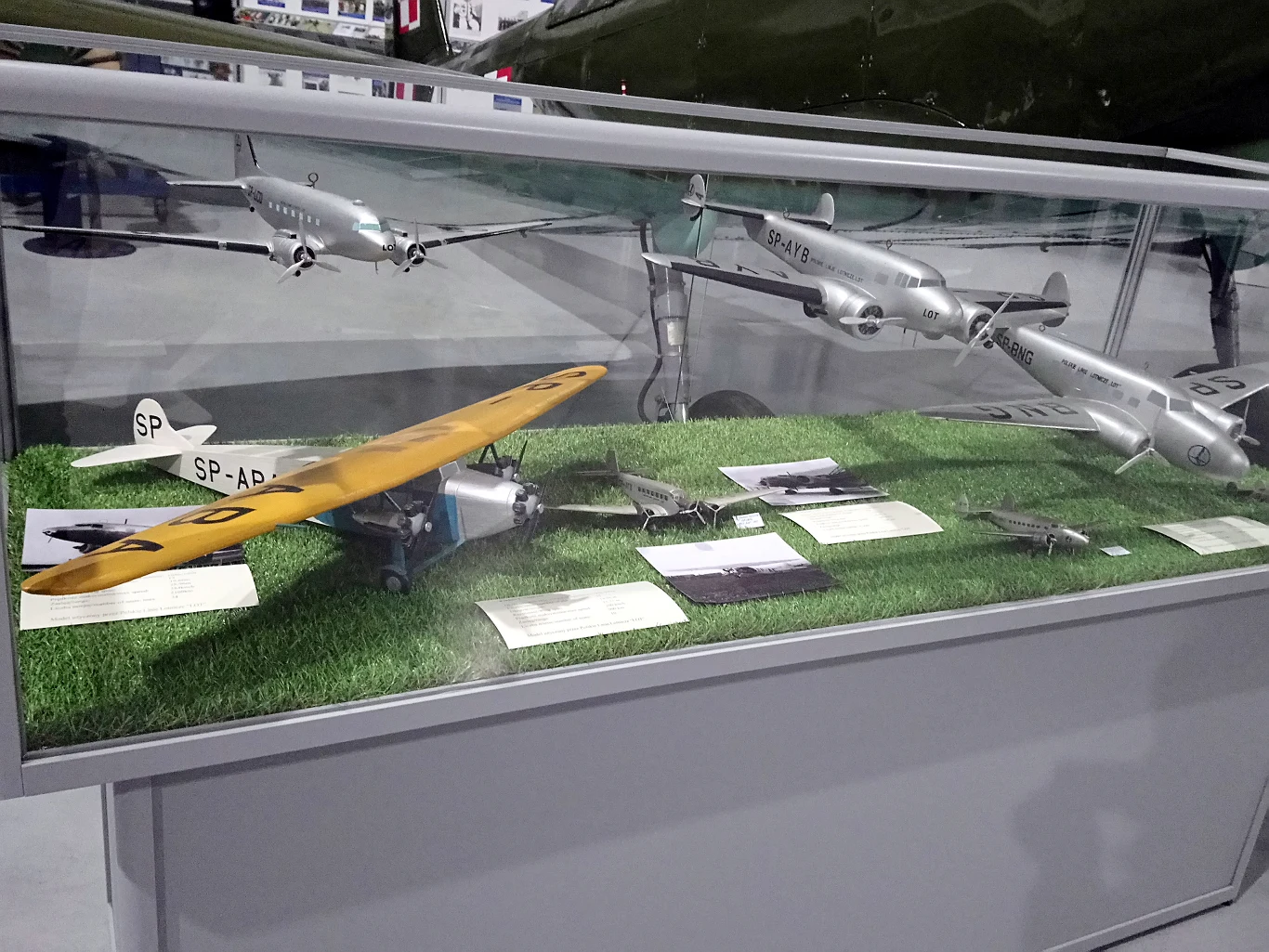 fot. Łukasz Pieniążek