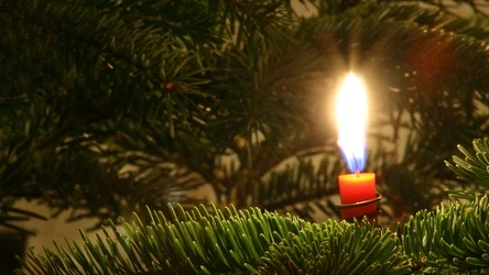 Magia świąt pomoże zadbać o sprzyjający los w nadchodzącym roku. 
