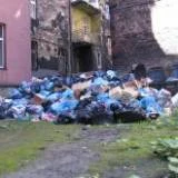 Zapłacimy podatek od śmieci? Zapłacimy podatek od śmieci?