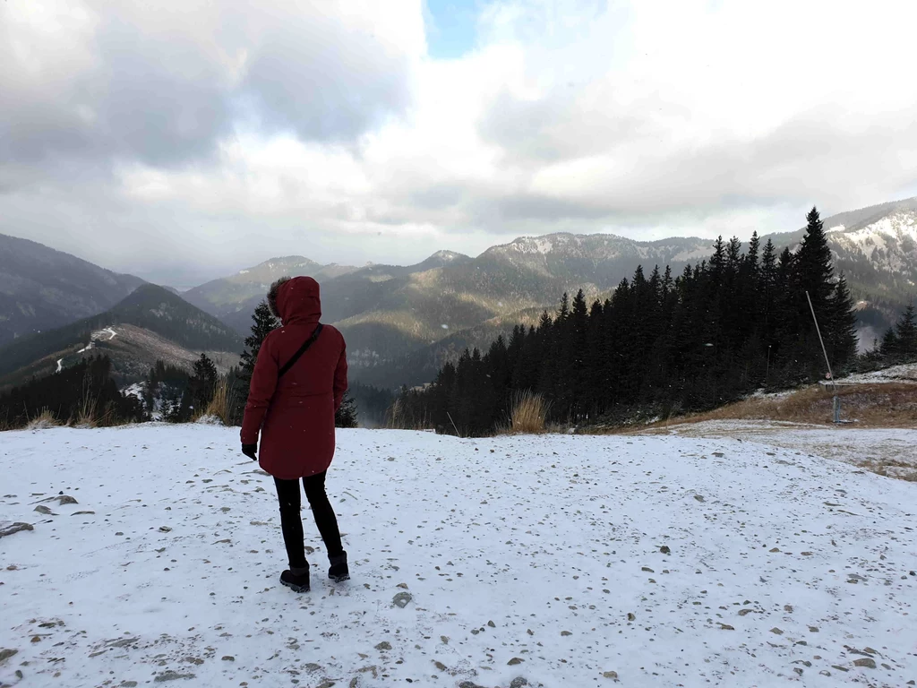 Widok na Niskie Tatry z jednego ze zbocz Chopoka