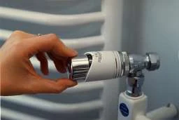 fot. Paweł Terlikowski fot. Paweł Terlikowski