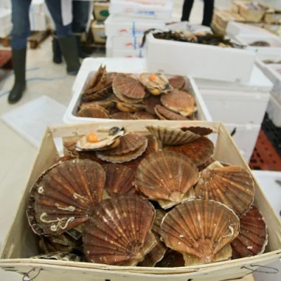 Dla organizmu utrata pieniędzy i jedzenie zepsutego pożywienia mają jednakowe znaczenie.