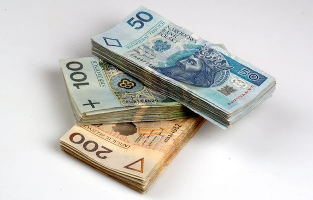 Zdaniem Rady poważnym problemem może w tym roku być kurs złotego do euro i dolara Zdaniem Rady poważnym problemem może w tym roku być kurs złotego do euro i dolara