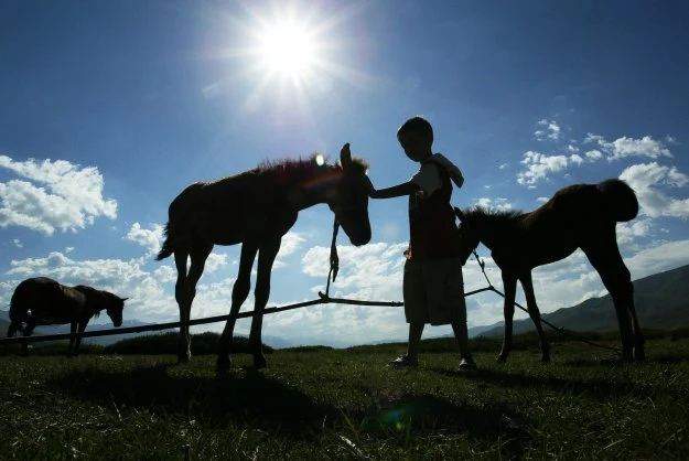 Trzeba spawdzić rolników?