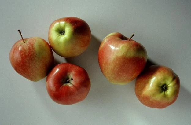 Polscy producenci korzystają z atutu zdrowej żywności, fot. A. Zygmuntowicz Polscy producenci korzystają z atutu zdrowej żywności, fot. A. Zygmuntowicz