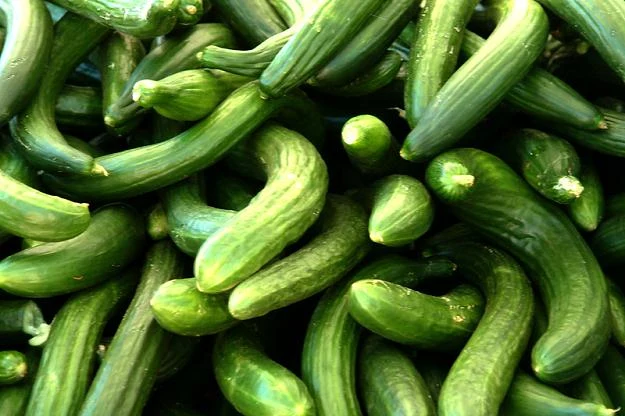 Obecnie nie ma jakiegokolwiek zagrożenia jakości artykułów żywnościowych w naszym kraju