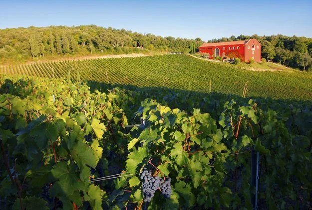 Na 560 tysięcy, 837 włoskich nieruchomości nie ma żadnych "papierów"