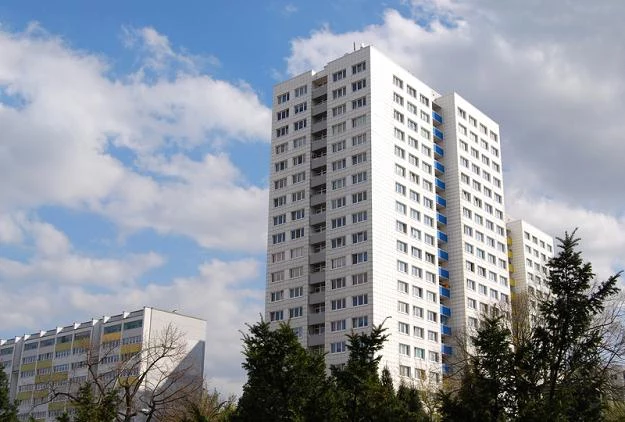 Minimalizacja ceny zakupu będzie podstawowym czynnikiem decydującym o zakupie nieruchomości