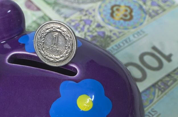 Czy warto oszczędzać na emeryturę w IKZE? fot. Leszek Kotarba