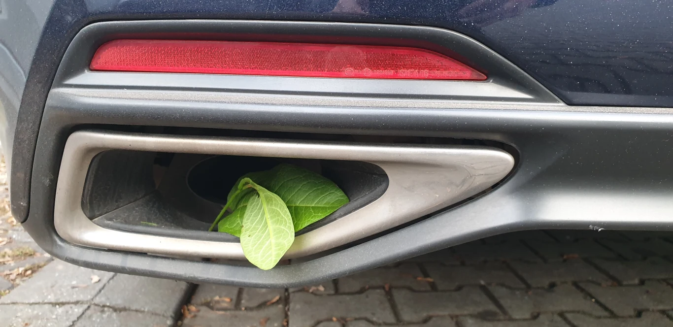 Przemysł motoryzacyjny oficjalnie deklaruje chęć współpracy i troskę o klimat Przemysł motoryzacyjny oficjalnie deklaruje chęć współpracy i troskę o klimat