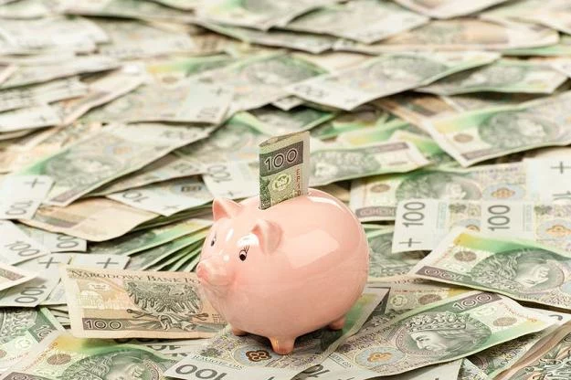 "Drobne" wydatki mogą nas kosztować nawet 600 złotych miesięcznie