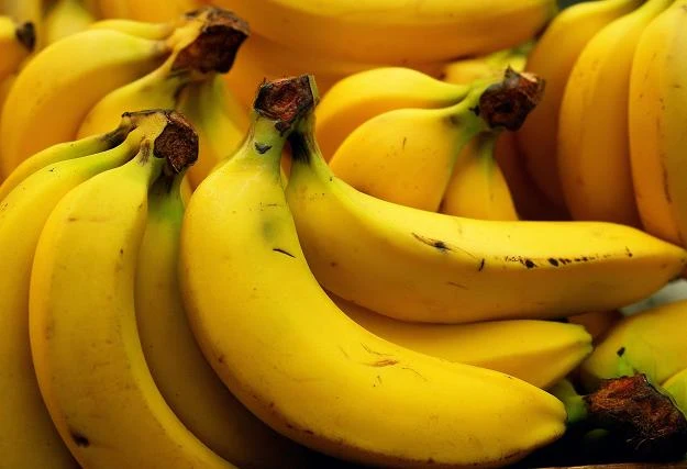 Ocieplenie klimatu zwiększy spożycie bananów Ocieplenie klimatu zwiększy spożycie bananów