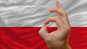 Propozycja MF ws OFE będzie w sumie neutralna dla ratingu Polski