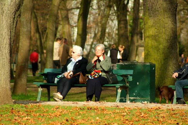Profesor Leokadia Oręziak: Każdy wariant, w którym istnieją OFE, oznacza ciężar dla nas wszystkich